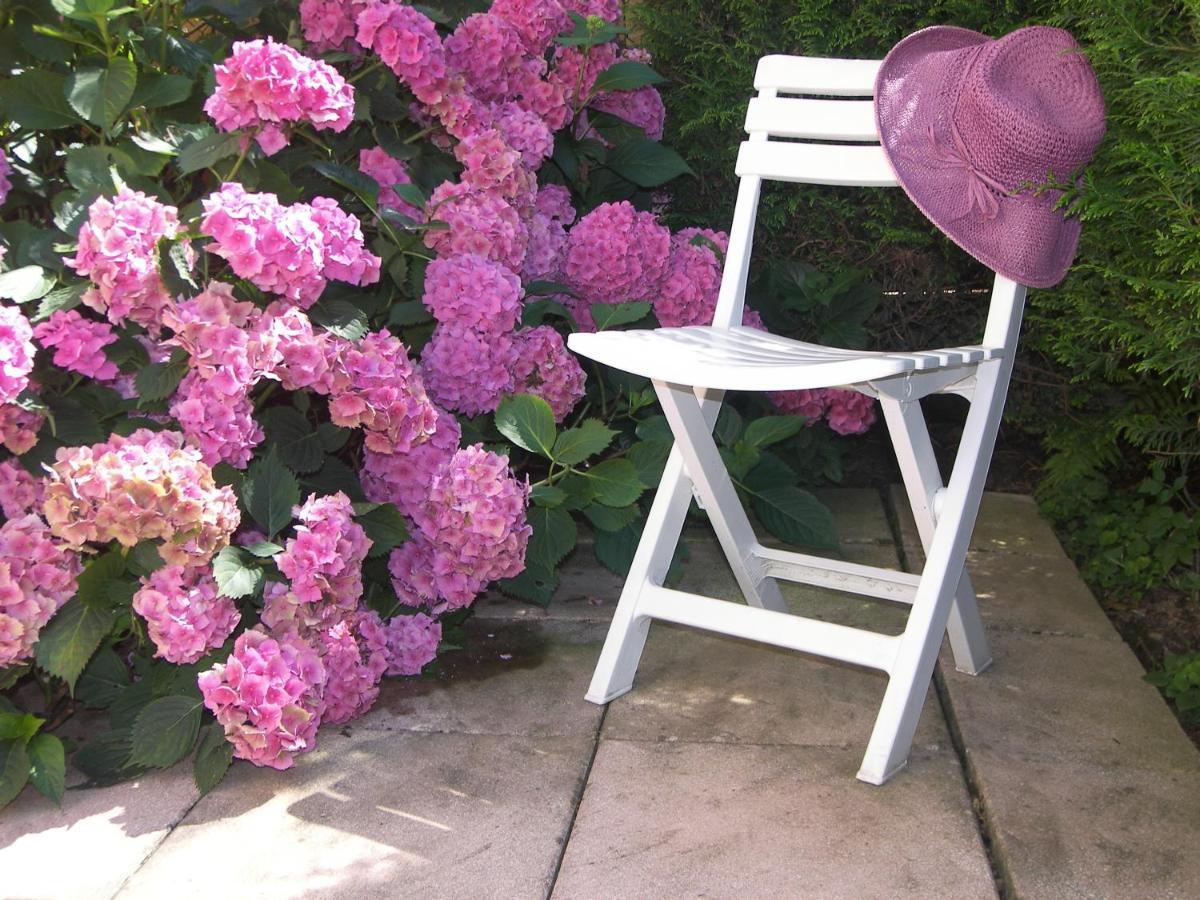 Les Hortensias Сент-Мари-о-Мин Экстерьер фото